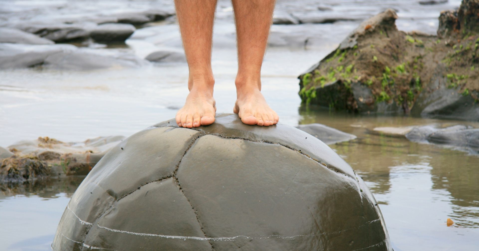alexander technique nz moeraki