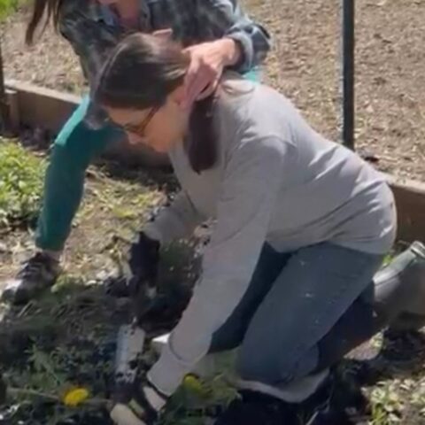 attsanz gardening 1