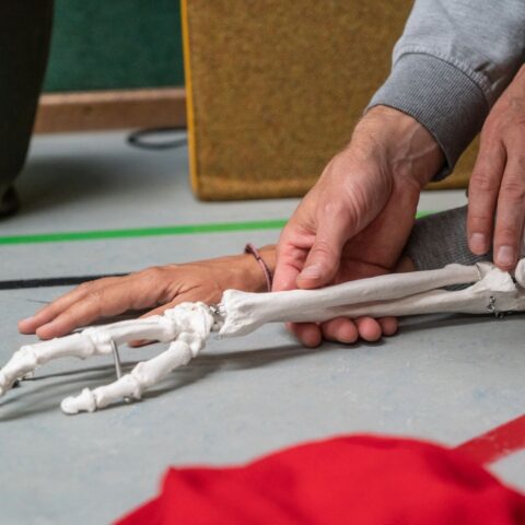 attsanz hand skeleton (1)